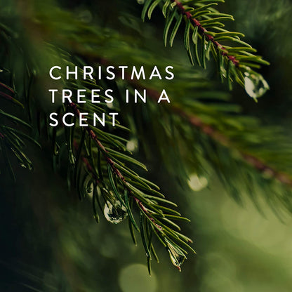 Thymes Travel Tin Holiday Candles - Scented Candles for Home Decor - Winter Scents - Christmas Gifts - Luxury Home Fragrance Gifts for Women & Men - Gold (Frasier Fir, 2.5 oz)
