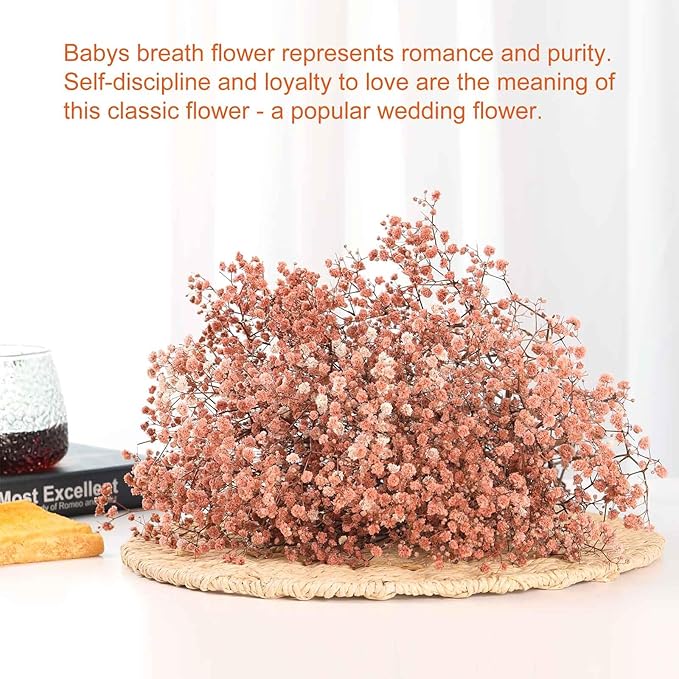 Babys Breath Dried Flowers Bouquet-17'' 4500+ Ivory Dry Flowers, Natural Gypsophila Branches for Wedding, Home Table Vase Decor, DIY Wreath Floral, Fall Thanksgiving Autumn Decoration (Brown, 5oz)