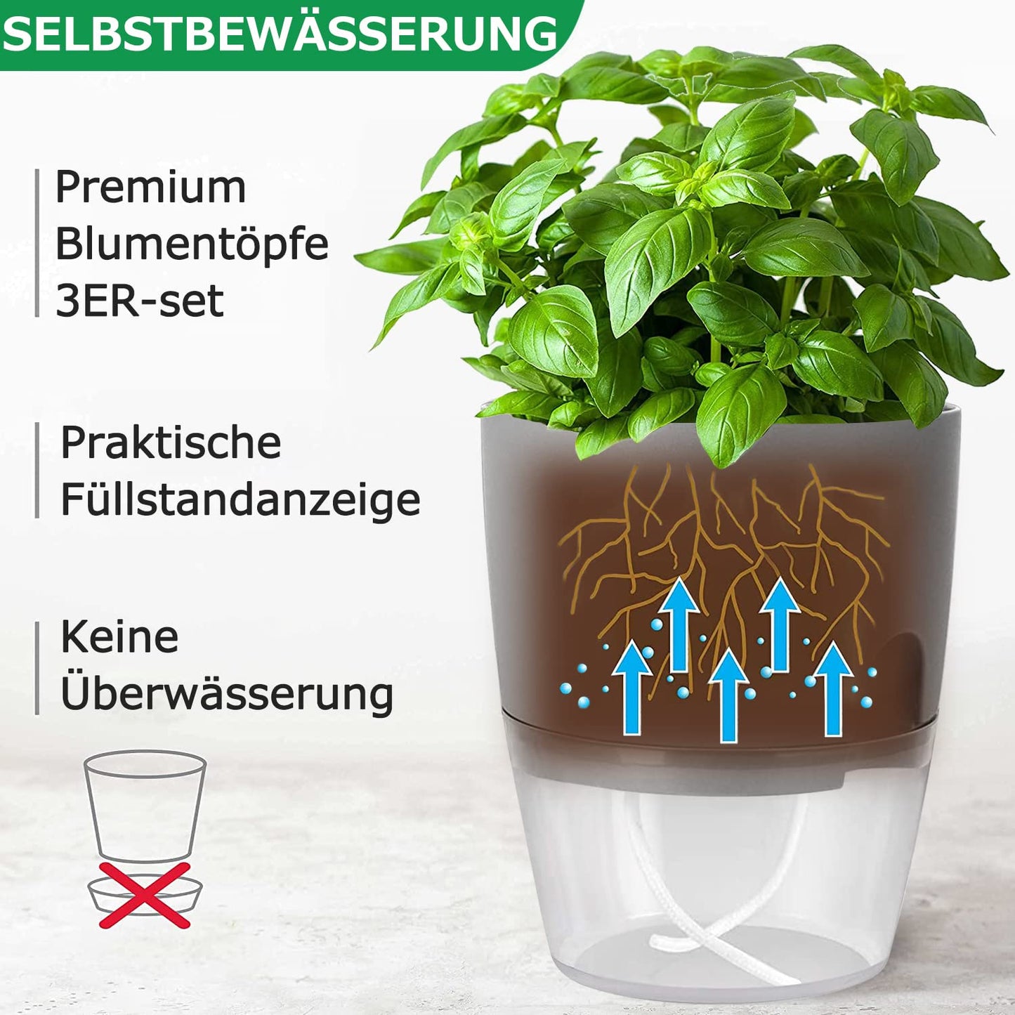 iDattel Herb Pot Kitchen Set Window Sill Self-Watering Set of 3 Herb Garden for The Kitchen, 18.2 x 11 x 15.3 cm, for Fresh Kitchen Herbs, Grey