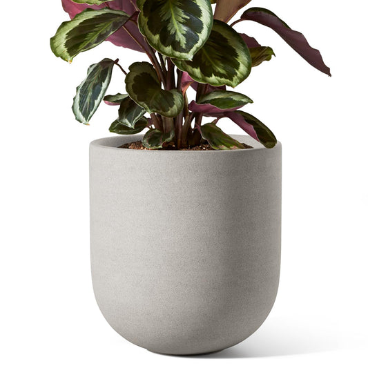 LE TAUCI 8 Inch Plant Pot, Ceramic Pot with Drainage Hole & Rubber Plug, Indoor Planter for Herbs & Small Houseplants, Cylinder Planter for Home Office, Neutral Gray
