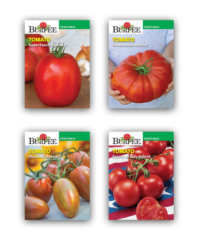 Burpee Best Starter Kit, SuperSauce, Fourth of July, Shimmer & Steakhouse, 4 Tomato Seed Packets, 4 Pots, 4 Coir Pellets & 4 Plant Markers