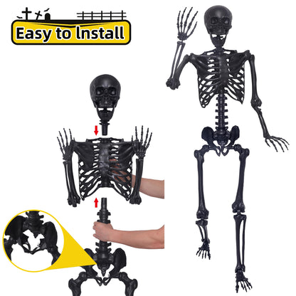 5.4Ft Halloween Skeleton,Posable Skeleton Full Size Skeleton with Movable Joints and 2PC Black Feathered Crows for Halloween Decorations Outside and Inside