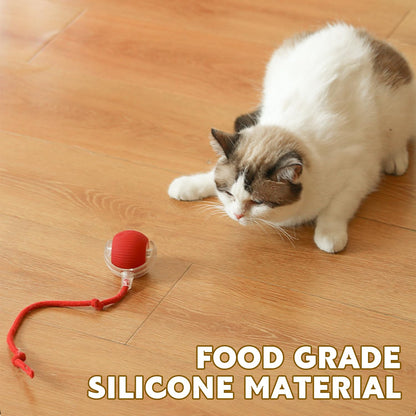 DVHNMK Chewie Viral Rolling Pet Ball, Interactive Cat & Dog Toy, 360 Smart Automatic Rolling Ball (Grey)