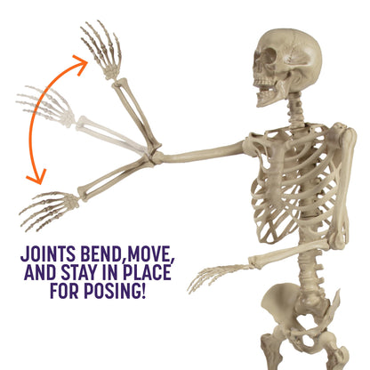 Posable Life Size Human Skeleton Family 4pk- 2 Adult (5'4") & 2 Children (2')- Halloween Prop Indoor Outdoor Decorations w Bending Articulated Bones