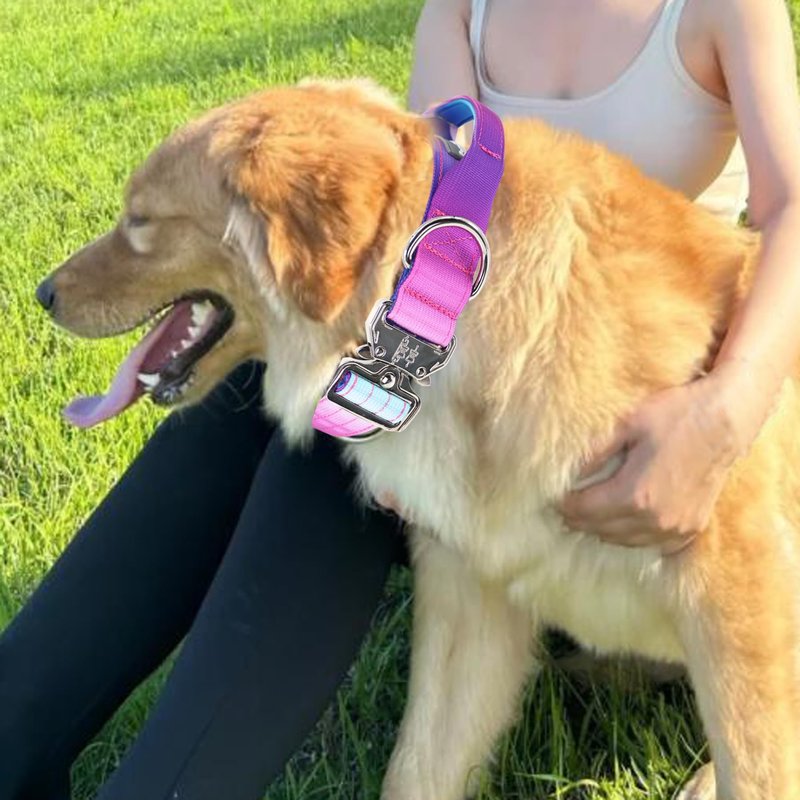 Comfluxe 1.5" Tactical Dog Collar with Handle, Heavy Duty Dog Collar with Metal Buckle for Medium Dogs, Soft Neoprene Padded Lining, Adjustable Gradient Colorful Nylon Collar for Training (Purple, M)