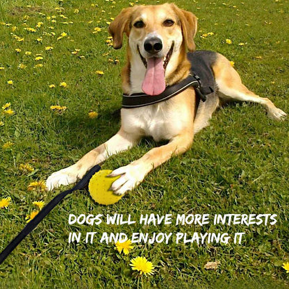 Vivifying Dog Ball on a Rope, 2 Pack Natural Interactive Rubber Dog Ball for Fetch, Catch, Throw and Tug of War (Orange + Yellow)