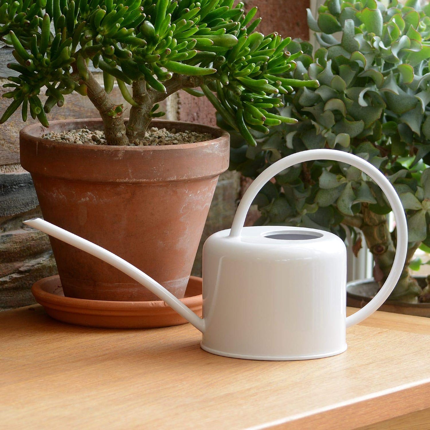 CKB Ltd® Small 1.1L Indoor Watering Can - Chalk White Coloured Galvanised Powder Coated Steel - For Houseplants Contemporary Metal Design With Narrow Spout And High Handle (Chalk)