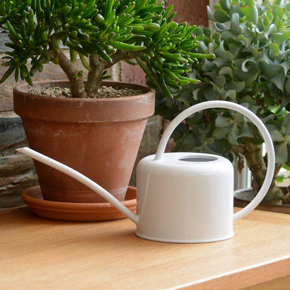 CKB Ltd® Small 1.1L Indoor Watering Can - Chalk White Coloured Galvanised Powder Coated Steel - For Houseplants Contemporary Metal Design With Narrow Spout And High Handle (Chalk)