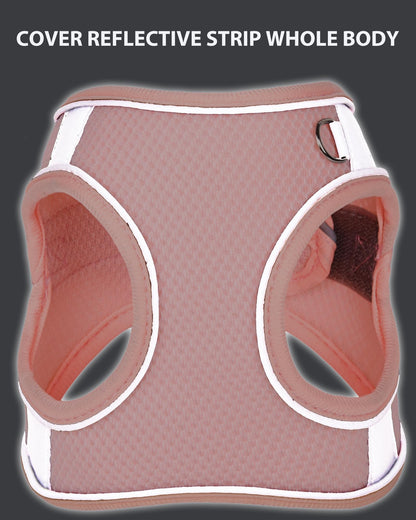 Aecllcea Dog Harness for Small Medium Sized Dog, Step in Puppy Harness and Leash Set Training Walkings. (Black, M)