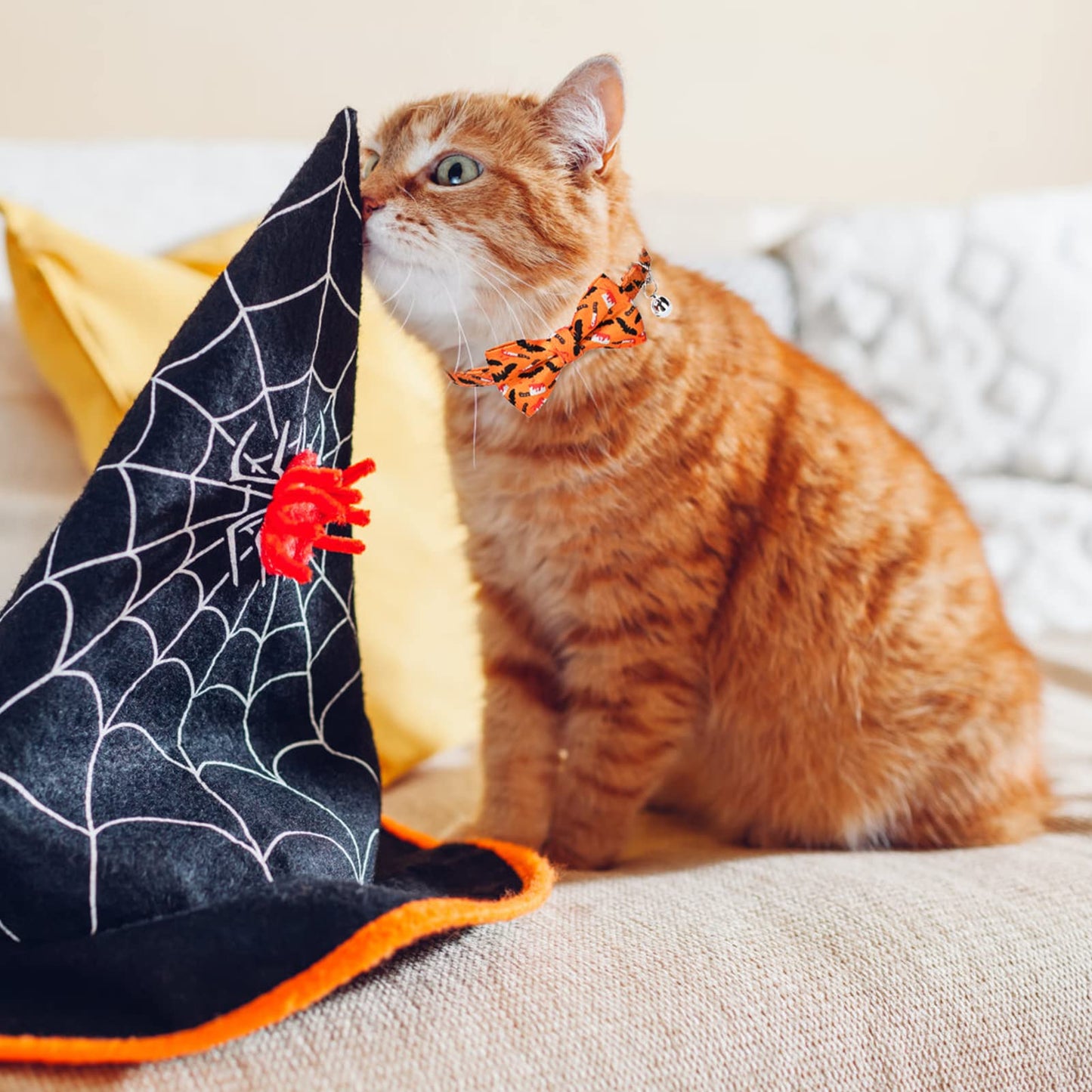 EXPAWLORER Halloween Cat Collar Breakaway with Bells - Adjustable Pet Collars with Detachable Bow Tie, 3 in 1 Holiday Cat Collars Also for Coming Thanksgiving Christmas Decoration Gifts