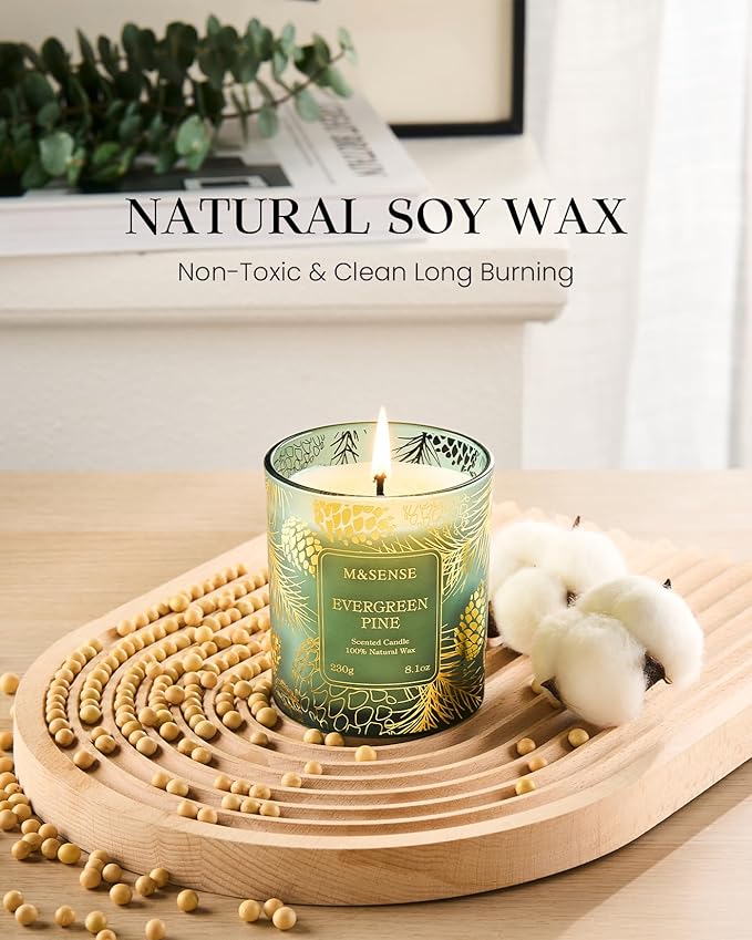M&SENSE Evergreen Pine Scented Vegan Soy Candles,8.1oz 42-Hour Slow Burning Time,No Toxin Candles for Fall Winter Aromatherapy Calming Home Fragrance,Fall Winter Thanksgiving Christmas Gifts