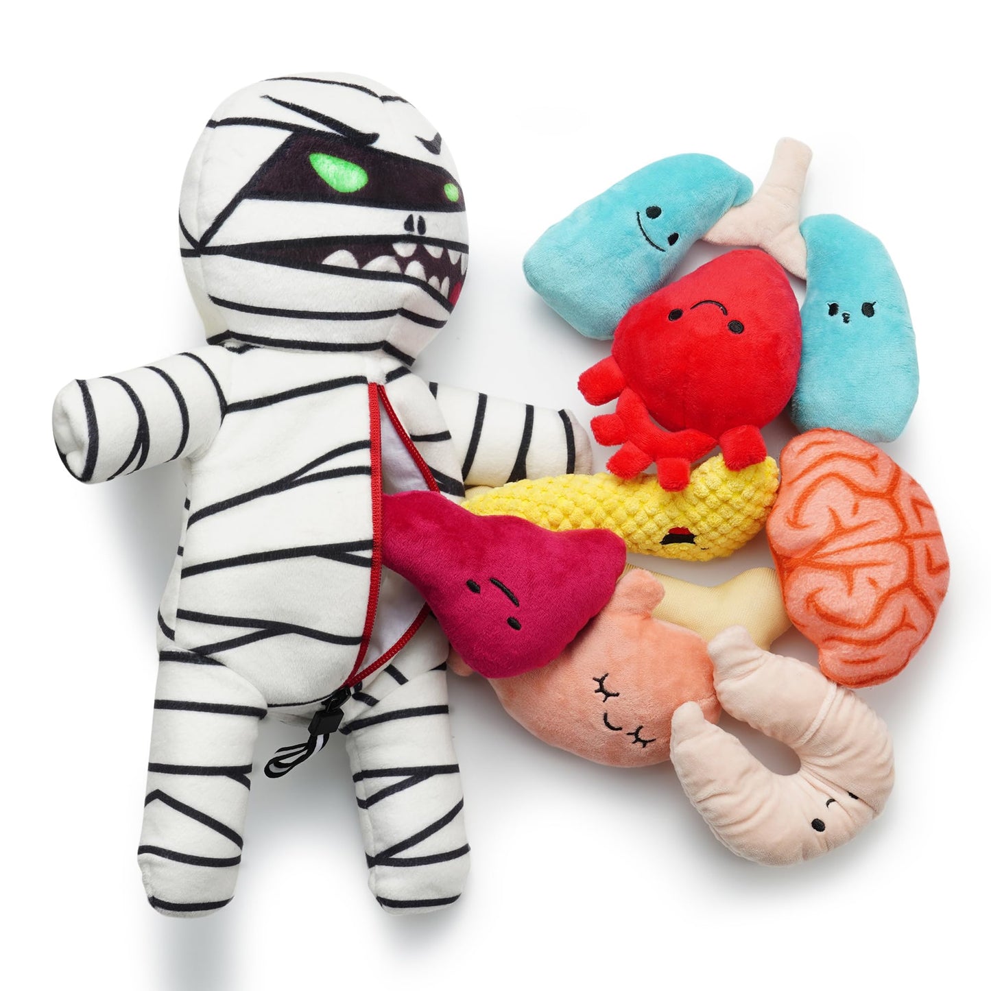 Nocciola Halloween Zombie Mummy Dog Toys with Organs: Funny Cool Squeaky Dog Chew Toys for Puppies, Small and Medium Size Dogs, Plush Stuffed Puzzle Toys for Dog Training Hide and Seek Pet Supplies