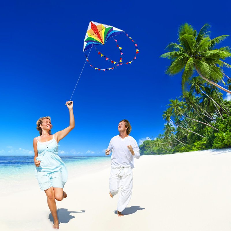 Flying Hoofer Large Rainbow Delta Kites for Kids & Adults,Single Line Beach Kite for Kids Ages 4-8 & 8-12,Easy Fly Kite for Toddlers and Beginners(2 Pack).