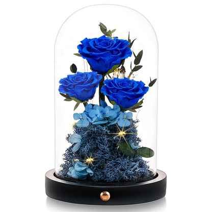Valentines Day Flowers Roses Gifts for Her,Forever Real Preserved Roses in Glass Dome,Valentines Day Anniversary Birthday Gifts for Wife Girlfriend Women Mom Best Friend Her/Purple Rose