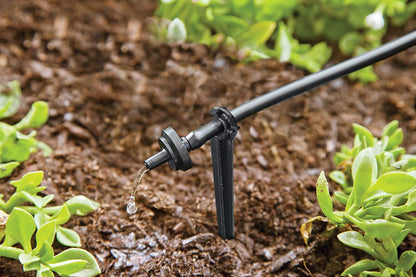 Raindrip R560DP Automatic Drip Irrigation Watering Kit with Customizable Timer for Containers and Hanging Baskets, Waters up to 20 Plants, Includes 20 PC Drippers, Black