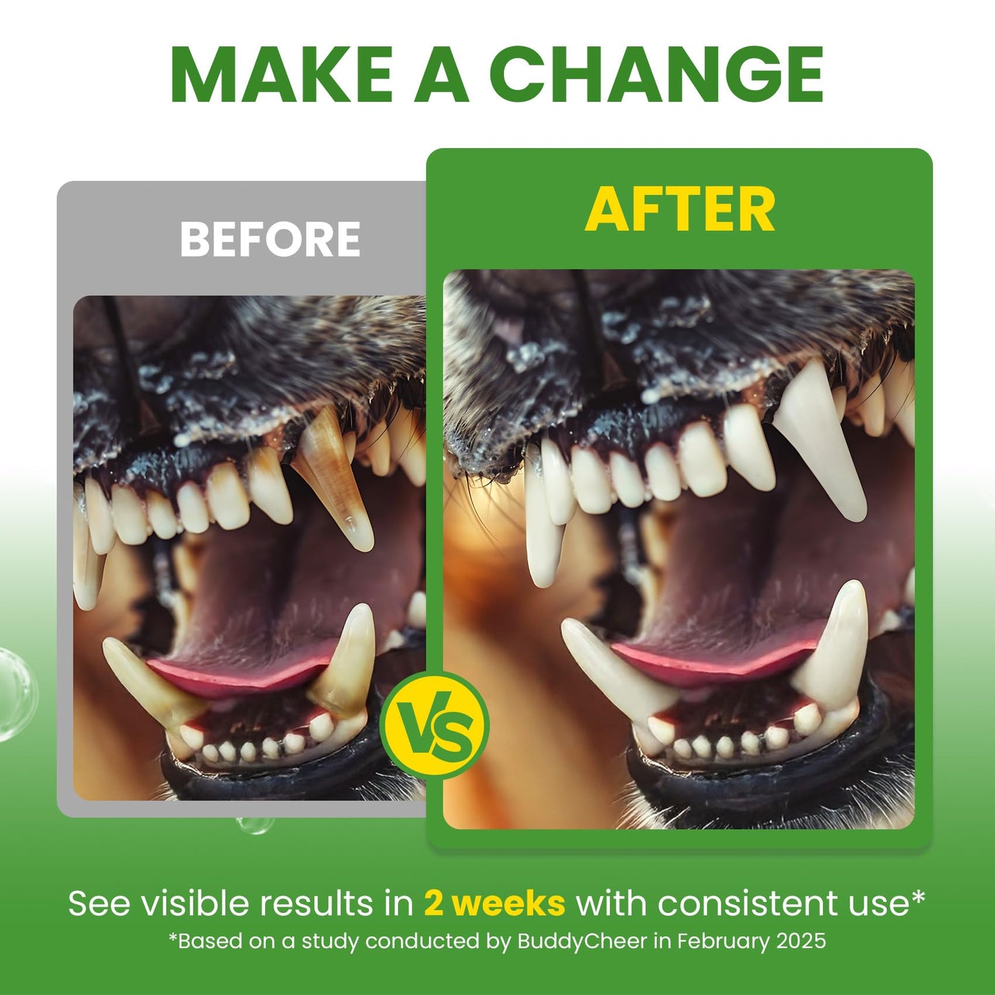 Dog Teeth Cleaning Powder, Dog Dental Powder and Cats Breath Freshener, Plaque Off Pet Tooth Cleaning lab co, Bad Breath & Tartar Remover for Dogs, Dog Teeth Cleaning with Enzymes- 60-Day Supply -Mint