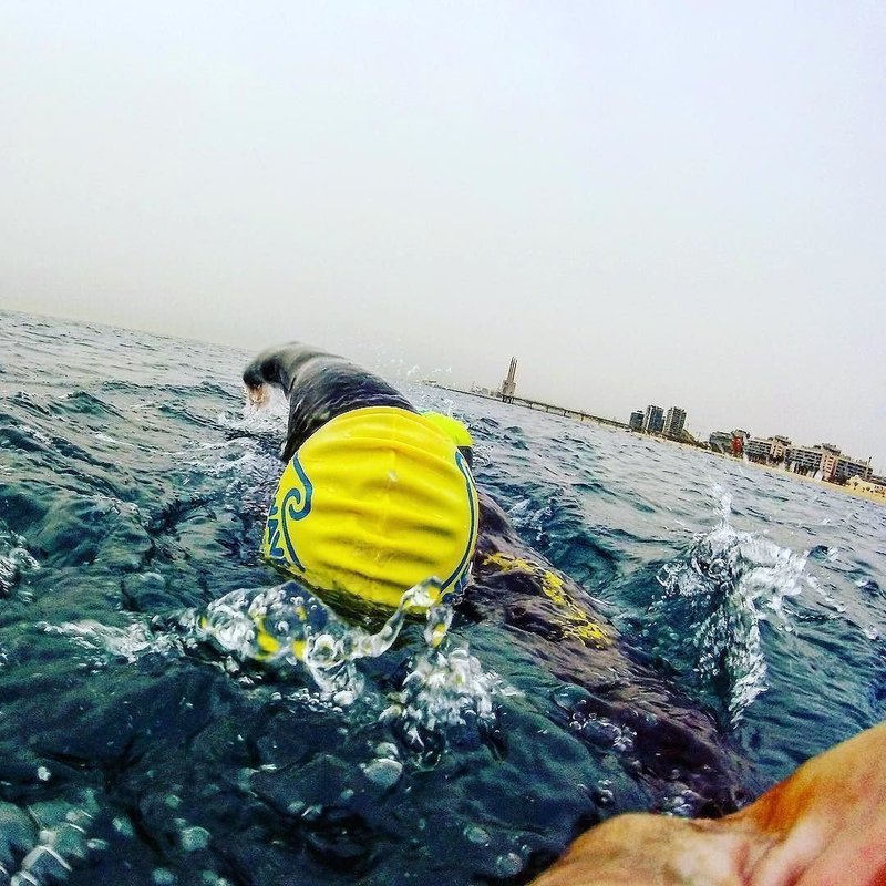 New Wave Swim Cap - Silicone (Yellow)