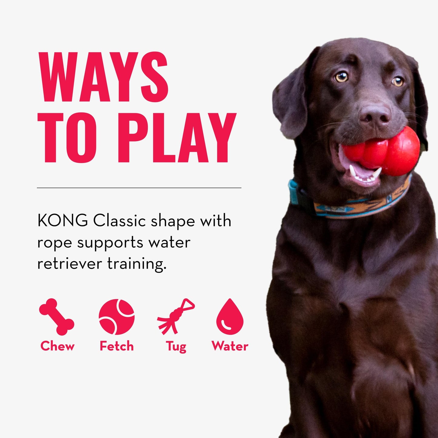 KONG - Aqua - Floating Fetch Toy for Water Play - For Medium Dogs
