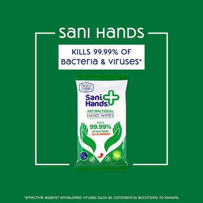 Sani Hands - Anti-bacterial Hand Wipes - Dermatologically Tested, Biodegradable Wet Wipes - 10x12 Wipes (120 Wipes)