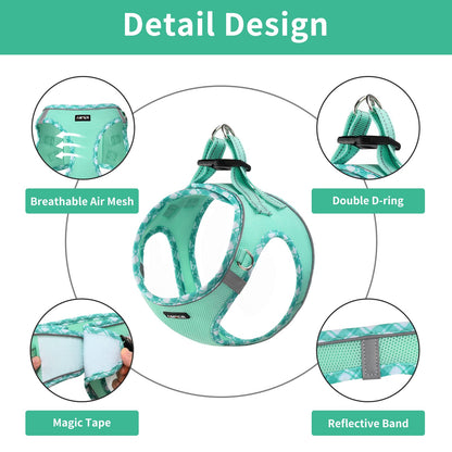 AMTOR Small Dog Harness with Leash Set, No Escape Easy Walk Puppy Harnesses for Training Walking, Step-in Reflective Soft Dogs Vest for XS S Medium Extra-Small Large Sized Dog(Green,S)