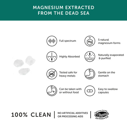 Marine Magnesium – Together Health – from Natural Marine Salts – 5 Natural Forms of Magnesium – Vegan Friendly – Made in The UK – 180 Vegecaps - Pack of 6