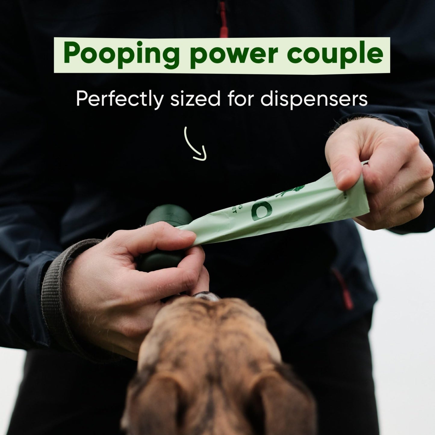 Beco Dog Poop Bags Rolls - Strong & Large - 270 Bags (18 Rolls of 15) Unscented, Dispenser Compatible for Dog Waste