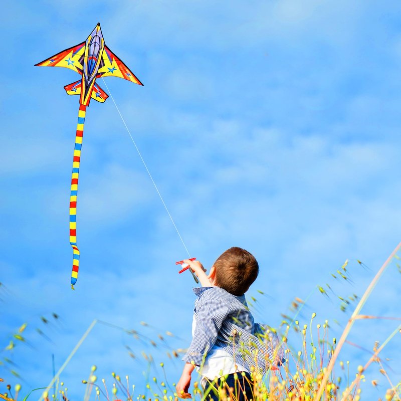 HONBO Airplane Jet Kite for Kids & Adults Perfect Kites for Kids Ages 4-8, Easy to Fly Giant Kites for Beach and Outdoor Activity, Kite Handle and String Included, Beginner Kite