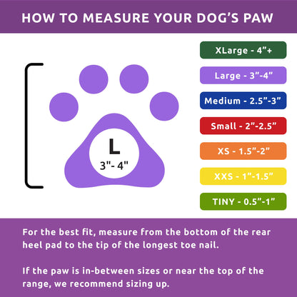 Large Pawz Durable All Weather Dog Boots (12 boots)