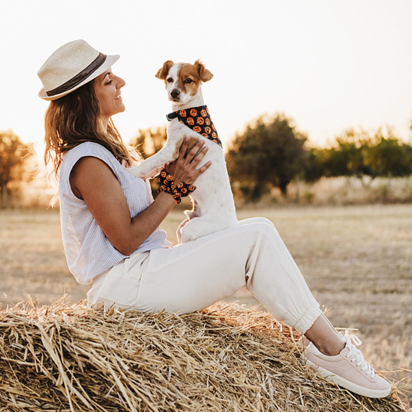 E-Clover Halloween Dog Collar - Pumpkin Dog Collar Bandana & Matching Scrunchie Adjustable Dog Collars Girl Boy for XS Small Dogs Puppy Owner Gift
