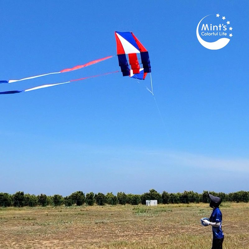 Beach Kites for Adults Large with Long Tail, 98 inches Super Easy Flyer 3D Rainbow Box Kites, Come with 49 Feet Multi Colors Tails x 2, 300 ft Kite String & Handle (Red, White & Blue)
