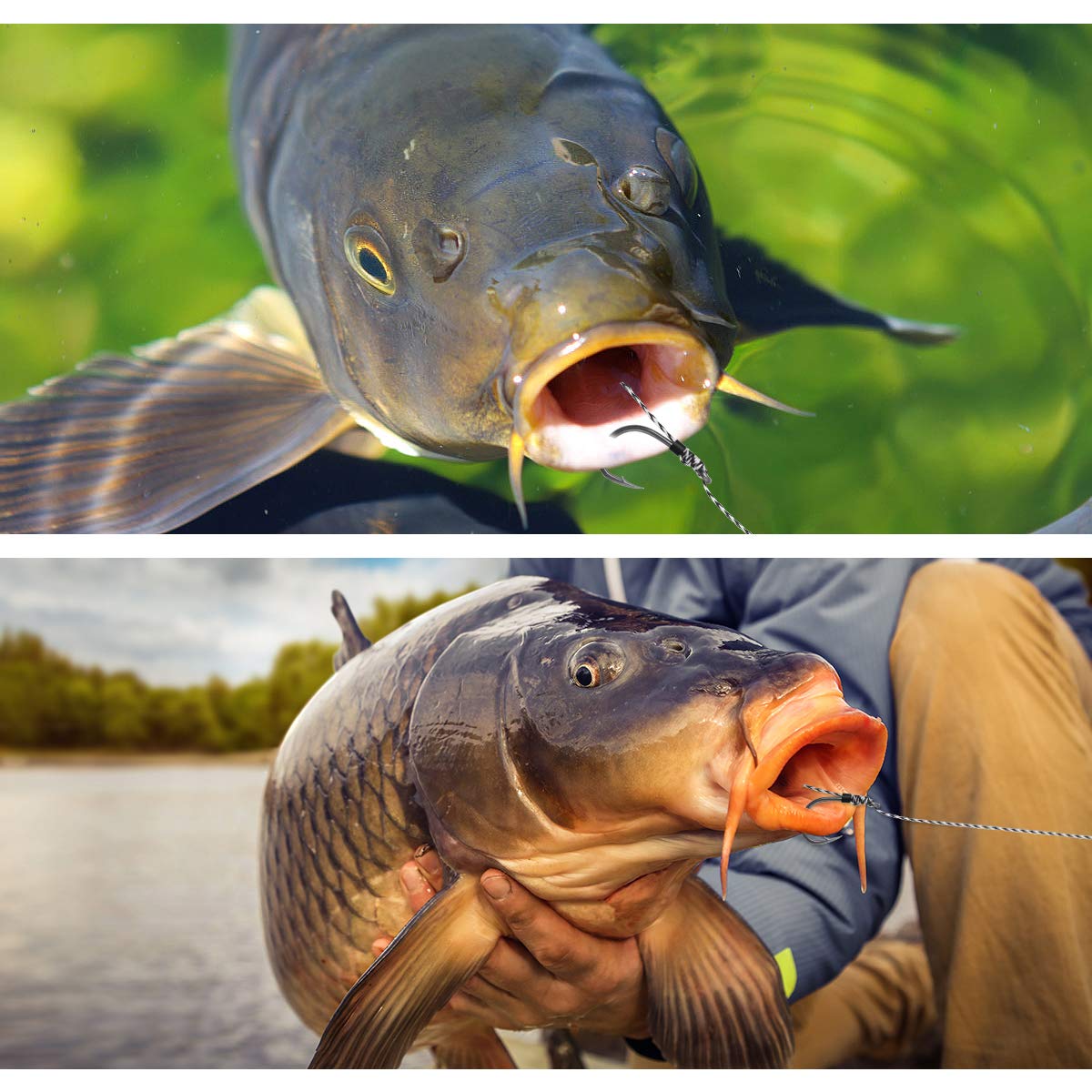 Luroad Carp Fishing Hair Rigs, 20 Pcs Curved Barbed Carp Hook Anti-Tangle Swivel Braided Thread line with 3 Card Boilie Bait Stops Dumbell Stoppers and Stringer Needle, Size 2 4 6 8
