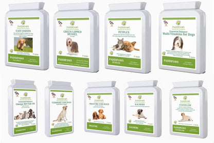 100% Natural Antifungal and Antibacterial Dog Shampoo - Yeast Infections, Ringworm, Dermatitis, Pyoderma - Safe - Natural - Paraben and SLS Free - 250ml - Larger bottle available from the store.