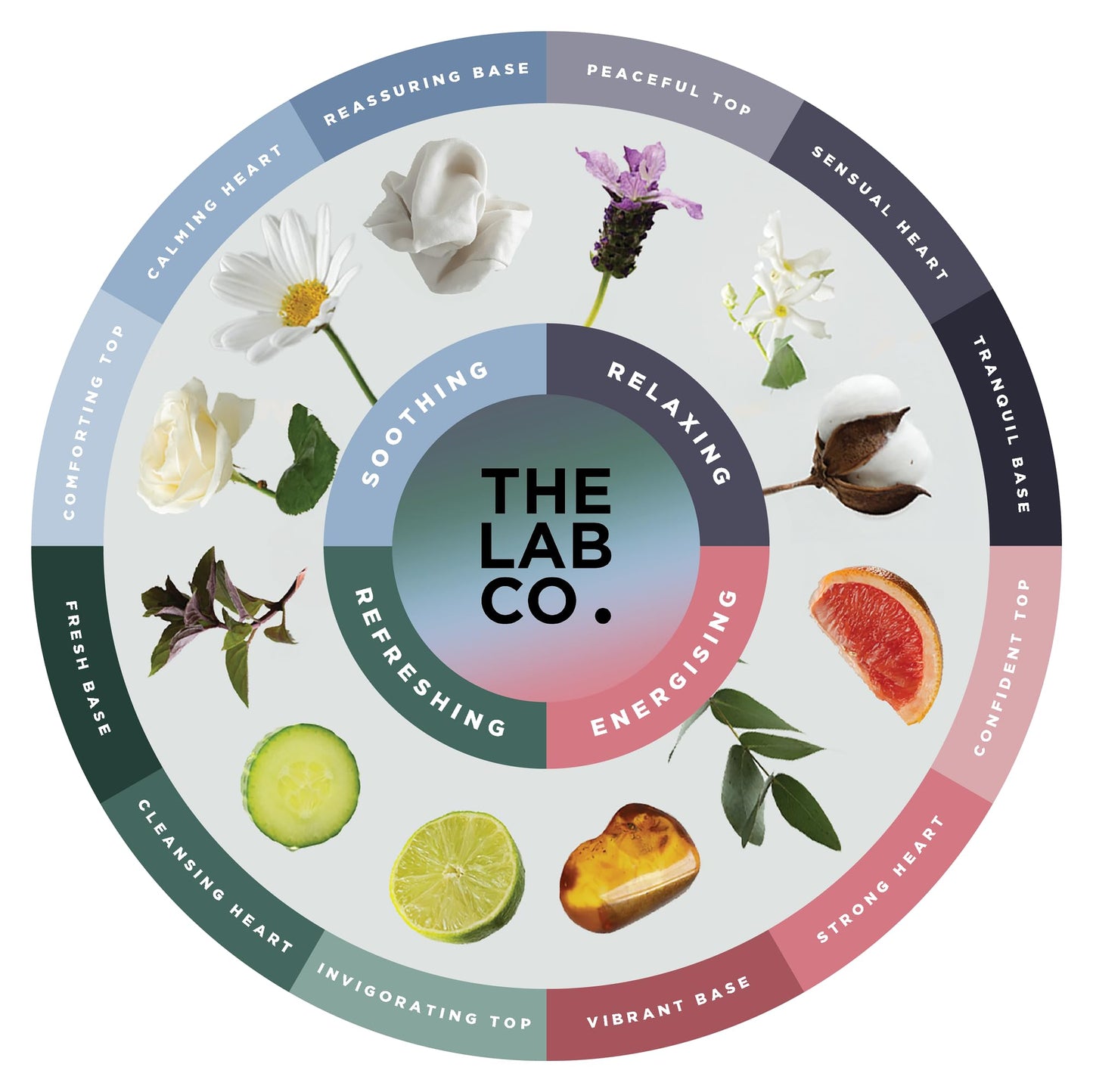 The Lab Co. Laundry Detergent Strips Sheets | 64 Loads | Eco Ultra-Concentrated | Non-Bio for Sensitive Skin | Relaxing Fragrance Cotton Lavender Jasmine
