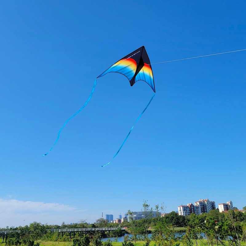 Large Beach Delta Kite for Adults and Kids Ages 4-8 & 8-12, Extremely Easy to Fly for Beginners(60X30''), Single Line Kite,Comes with 300 FT String Kite Handle.(Rainbow)