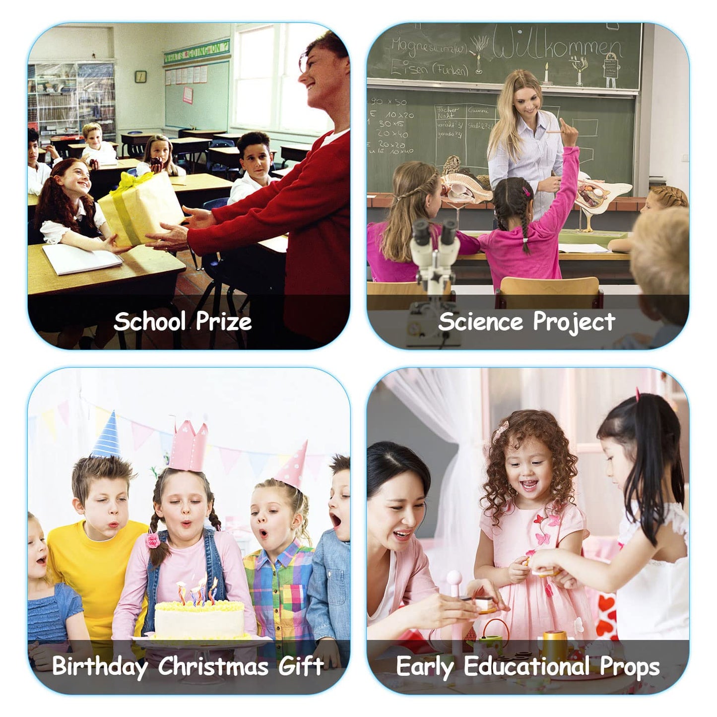 FLORMOON Realistic Animal Figures - Spider Action Model Lifelike Insect Toy Figures - Educational Learning Toys Birthday Set for Boys Girls Kids Toddlers (Giant Whiteknee)