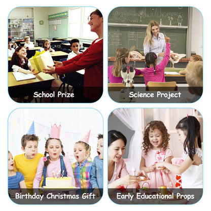 FLORMOON Realistic Animal Figures - Spider Action Model Lifelike Insect Toy Figures - Educational Learning Toys Birthday Set for Boys Girls Kids Toddlers (Giant Whiteknee)