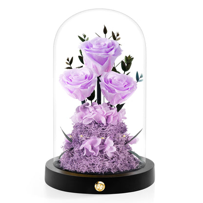 Valentines Day Flowers Roses Gifts for Her,Forever Real Preserved Roses in Glass Dome,Valentines Day Anniversary Birthday Gifts for Wife Girlfriend Women Mom Best Friend Her/Purple Rose
