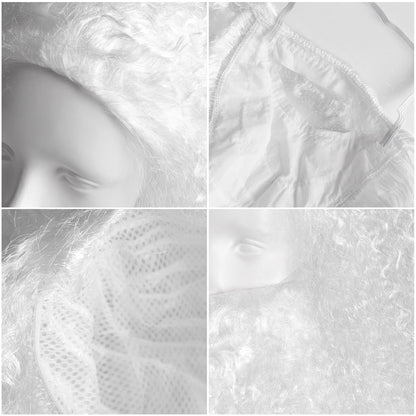 HOMELEX White Wizard Beard And Wig - Halloween Funny Father Time Costume Accessory for Adults