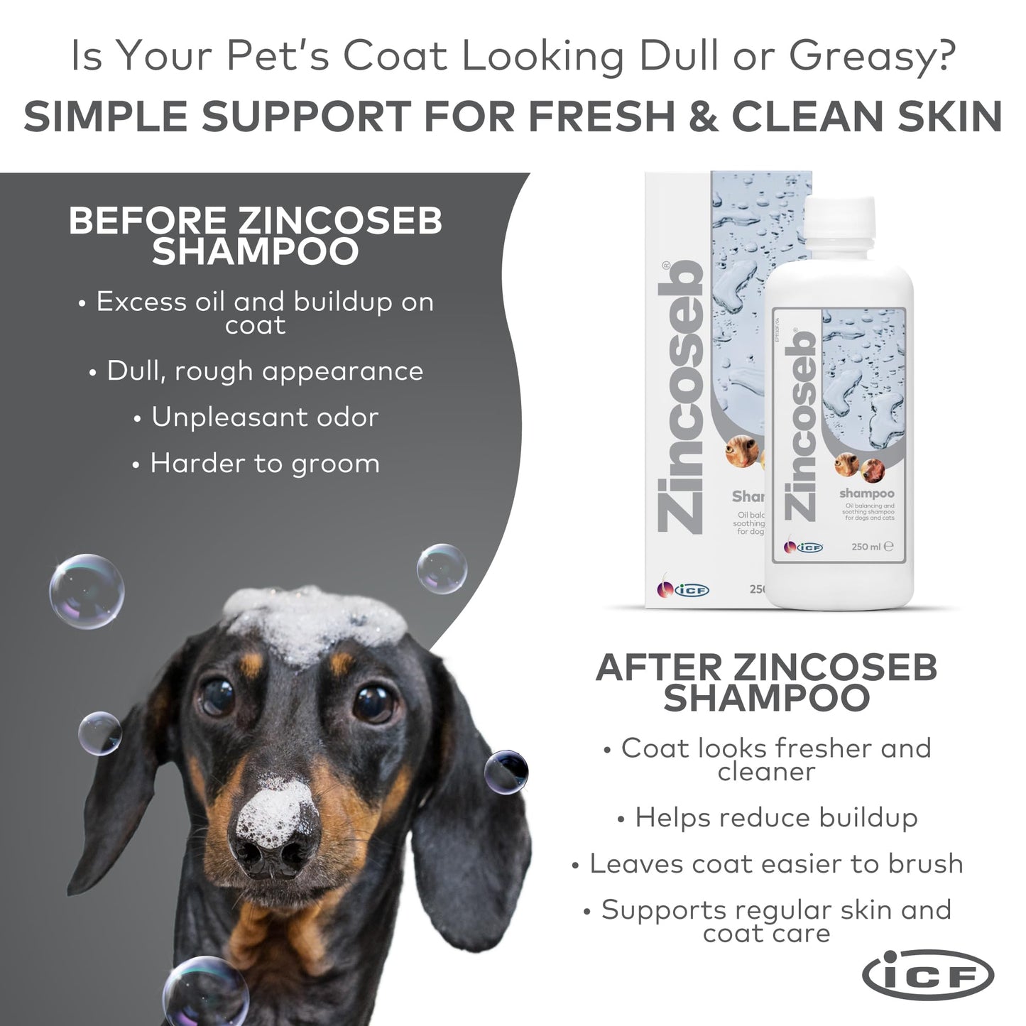 ICF Zincoseb Dog Shampoo for Itchy Skin Relief Anti Itch + Antifungal + Antibacterial for Dogs & Cats Made for Pets with Sensitive Skin 250 ml