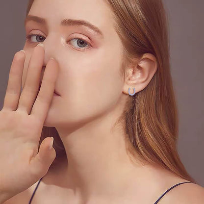 EVER FAITH 925 Sterling Silver Elegant Pave Setting Purple Cubic Zirconia Birthstone Lucky Horseshoe Stud Earrings