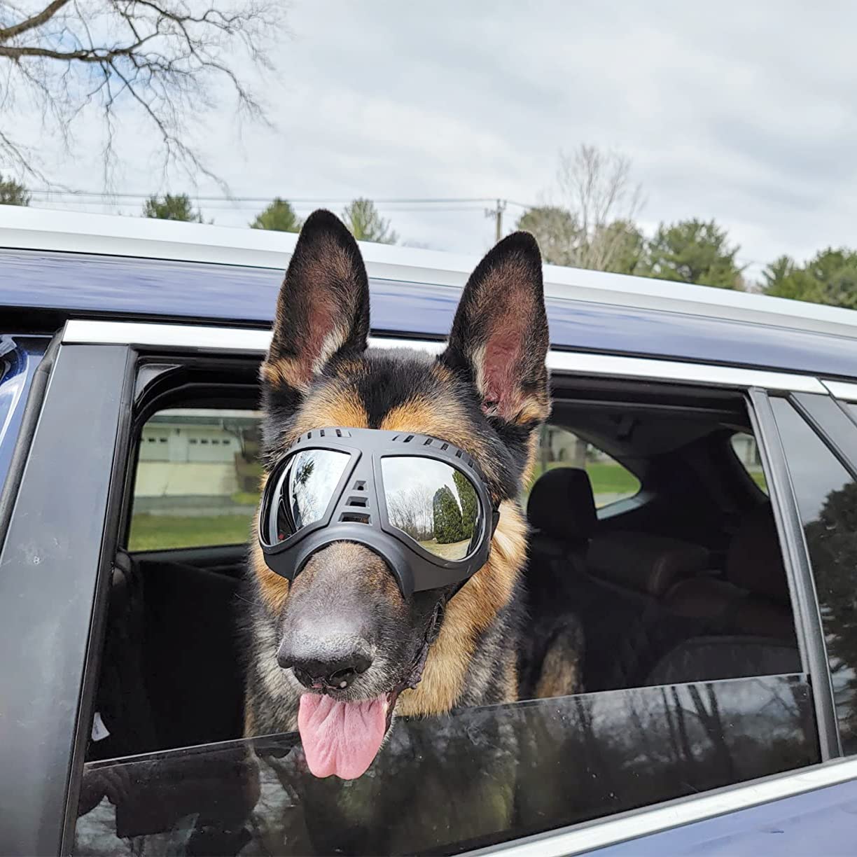 Namsan Dog Goggles Medium-Large Dog Anti-UV Sunglasses Windproof Snowproof Soft Frame Glasses for Long Snout Dogs Eyes Protection, Black