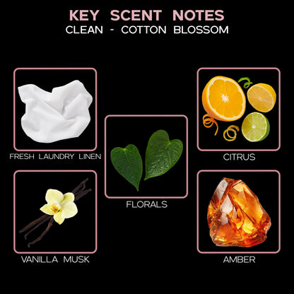 LOVSPA Reed Diffuser Set, Smoked Vanilla Scented Oil Diffuser with Sticks, Home Fragrance Accessories for Bathroom Shelf Decor, Aroma Diffusers for Home or Office Fall Decor, USA Made