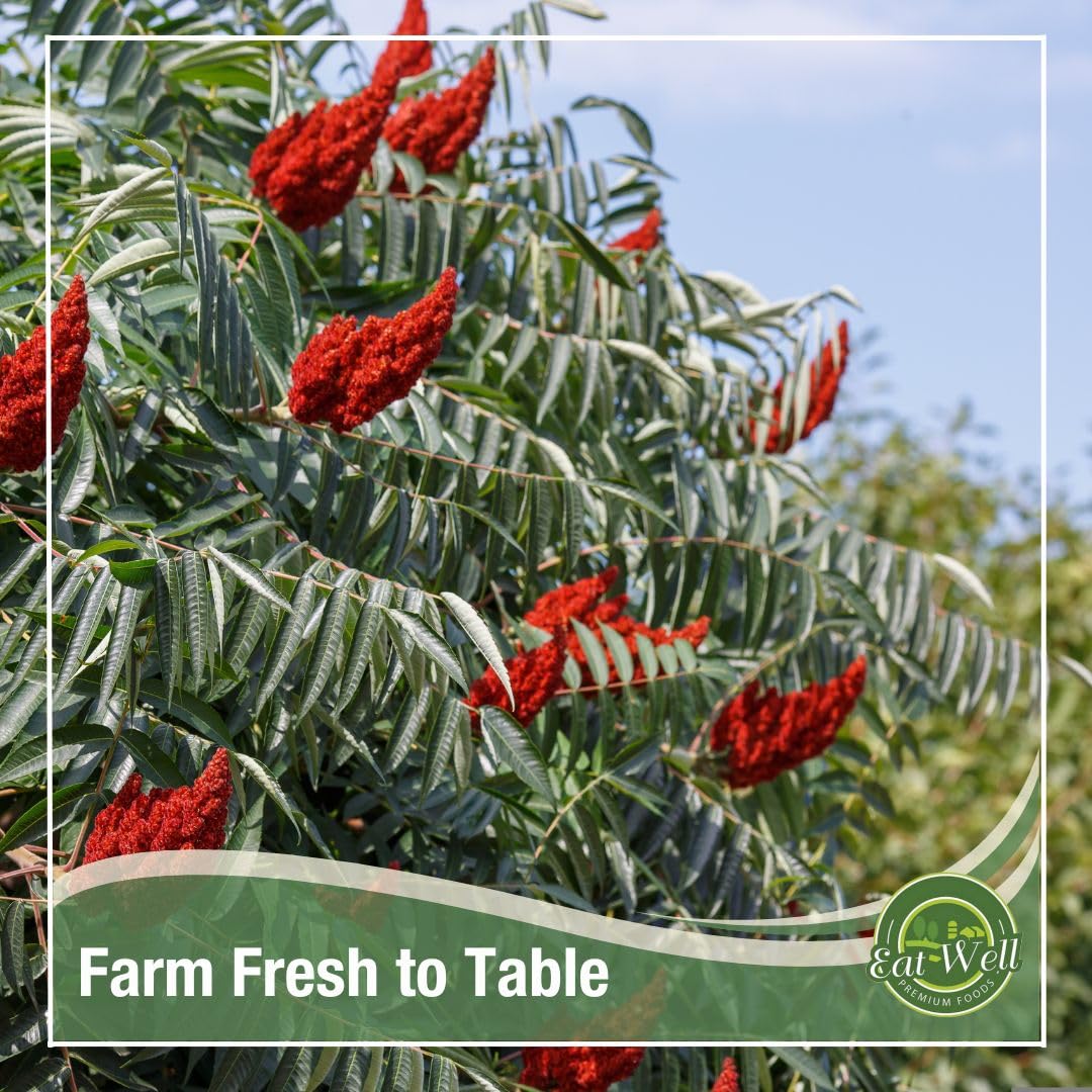 Eat Well Premium Foods Sumac Spice Powder 8 oz Ground Sumac Berries in Resealable Pack, 100% Natural Traditional Middle Eastern Spices, Sumac Seasoning with Pure Gourmet Ingredients for Cooking, Tangy and Citrusy