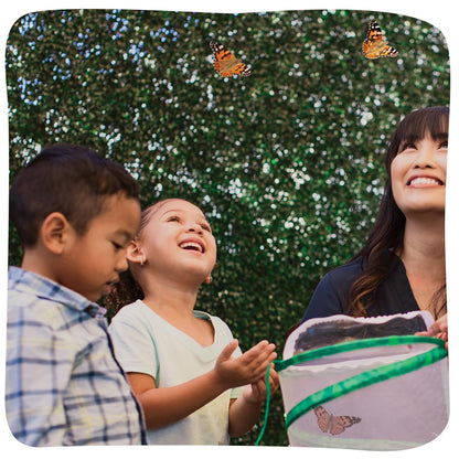 Insect Lore Butterfly Garden - 8" Habitat with 5 Live Baby Caterpillars - Includes Life Cycle Figurines, Stickers, Wind up, Mini Habitat | Birthday or Teacher Gift Set