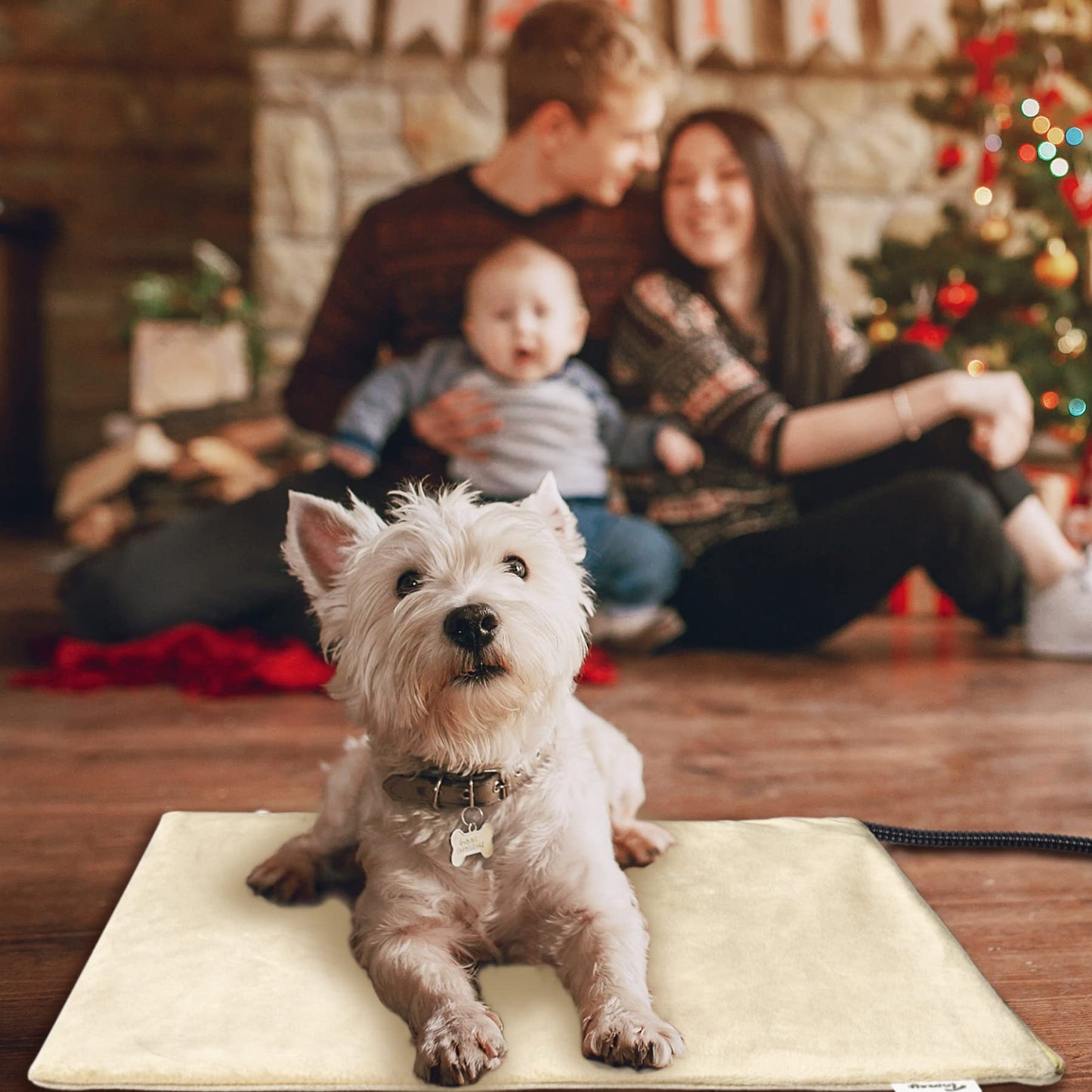 Toozey Small Pet Heating Pad, 6 Adjustable Temperature Dog Cat Heating Pad with Timer, Waterproof Heated Cat Bed with Chew Resistant Cord, Indoor Electric Pet Heated Mat 18x16in