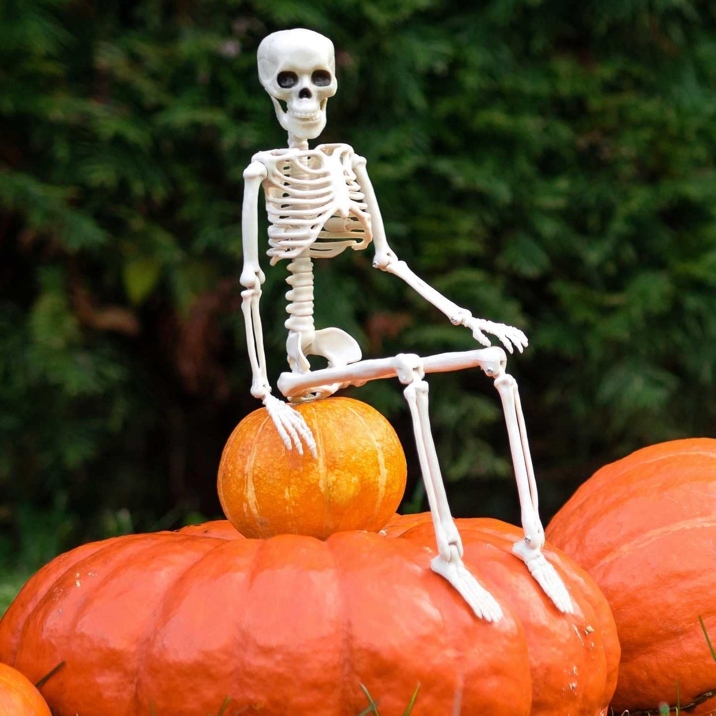 Daricano Halloween Decoration Outdoor 5 Pack Skeleton, 16" Plastic Posable Skeleton with Movable Joints, Small Hanging Skeletons for Halloween Decor, Haunted House Graveyard Props
