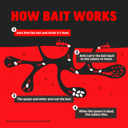 Amdro Ant Killer for Outdoor Home Perimeter, 12oz