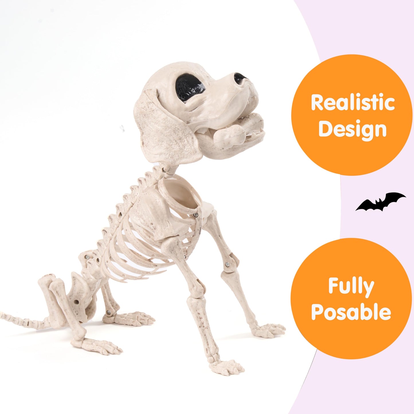 JOYIN Posable Halloween Dog Skeleton Full Body Posable Joints Realistic Skeleton Puppy with Movable Joints for Halloween Decoration, Graveyard Party Decor (9.8” X 4.7” X 12.6”)