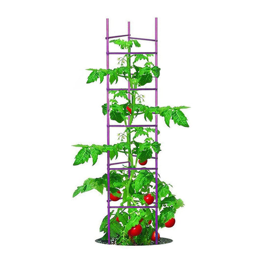 Growsun Large Tomato Cage 6 Pack Upto 73 inch Tall Tomato Trellis Garden Stakes Plant Support,Purple(5ft Stake add 18 inch Adjustable Stakes)