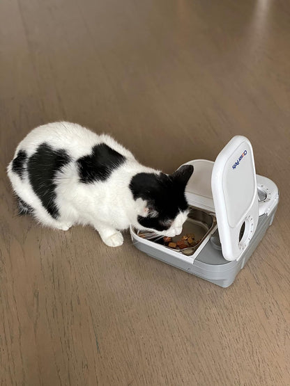 Closer Pets C200 2 Meal Timer-Controlled Automatic Pet Feeder - For Cats and Small Dogs, Wet or Dry Food, Stainless Steel Bowl Inserts and Ice Pack, up to 400 g Each, White